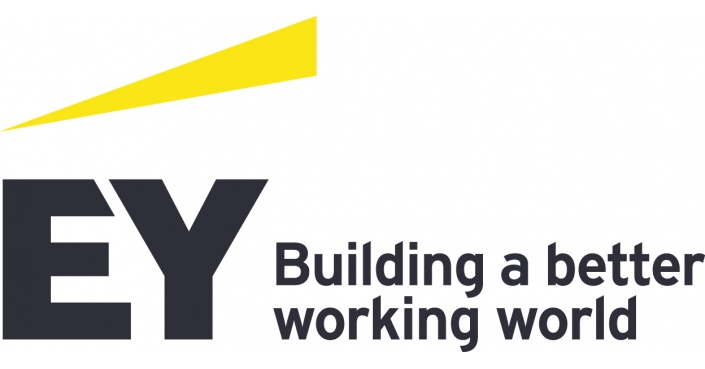 EY Corporate Solutions GmbH & Co KG Logo